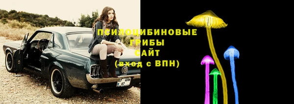 амф Ессентукская