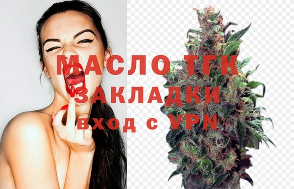МДПВ Каменка