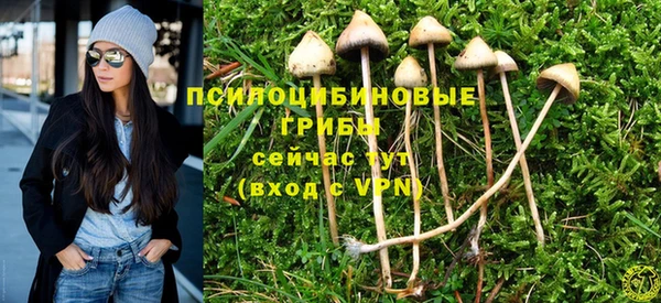 МДПВ Каменка