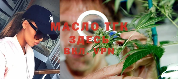 МДПВ Каменка