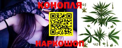 стафф Донской