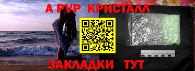 стафф Донской