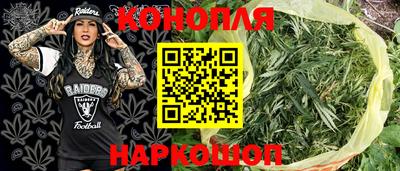 стафф Донской