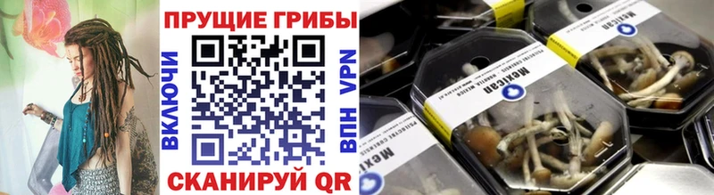 Галлюциногенные грибы GOLDEN TEACHER  Знаменск 